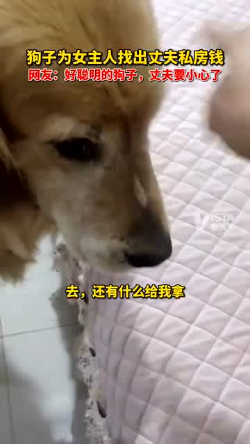 打完狗怎么挽回老公,如何挽回老公：一位女子因打狗而失去他