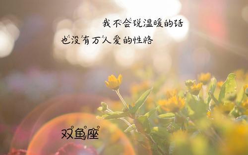 别去挽回这些星座,星座爱情无敌，不屑挽回