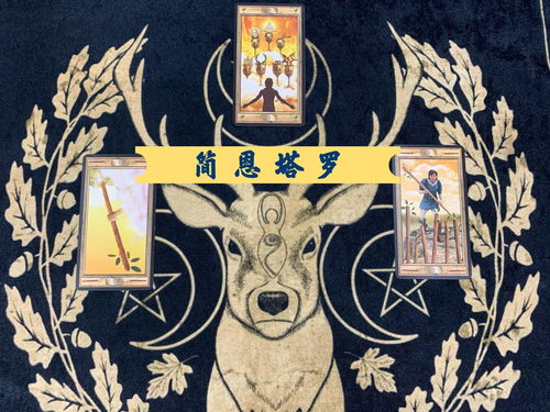 塔罗占卜挽回命运,塔罗占卜：改变命运，重获爱情