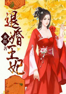 王爷挽回王妃小说推荐,王爷寻回失落王妃