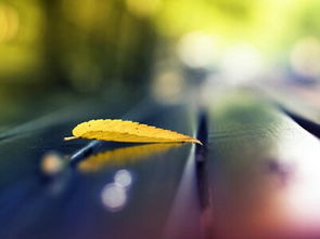 如何挽回失望的双子,如何让失落的双子重拾信心