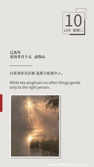 道歉老婆挽回信范文,婚姻中的道歉和挽回