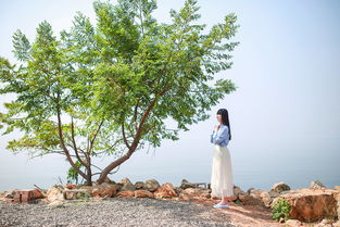 挽回爱情的风水方法,如何利用风水挽回爱情 - 挽回爱情的风水指南