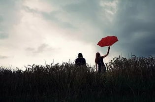 北京私人定制情感挽回，北京恋爱私人定制，挽回爱情之旅