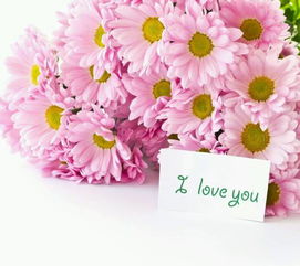 挽回爱情买什么花,如何用花重新点燃爱情