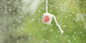 挽回爱情的句子励志,重获爱情之路：挽救感情的秘诀