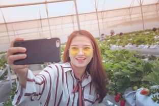 哭着跪着挽回女友,挽救爱情，跪求女友原谅