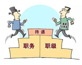 怎样挽回公考小白，如何让没有公考经验的人顺利通过考试？