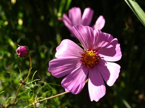 挽回做局需要多久,挽回感情需要多久时间？-挽回感情得花多少时间？