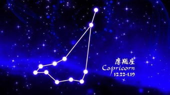 射手怎么挽回双鱼,挽回双鱼座的技巧，射手们注意了！