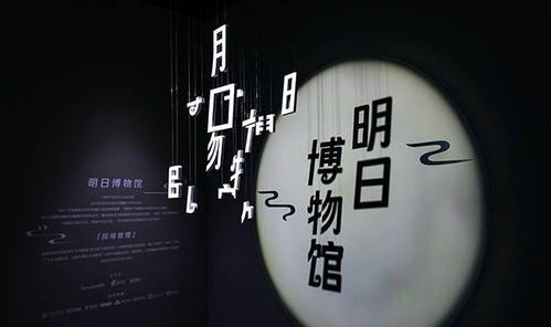 数码圈怎么挽回面子,数字界如何重拾尊严