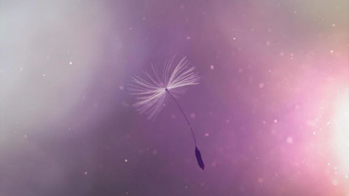 广州伴生缘情感挽回,怎样挽回爱情？广州伴生缘情感分析找回故爱，情感摆脱复婚危机