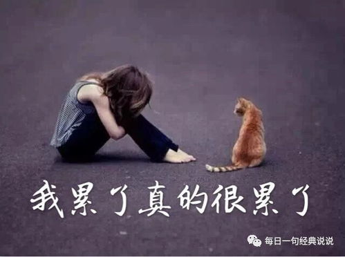 想男人挽回的句子,如何用正确的方式挽回男人的心