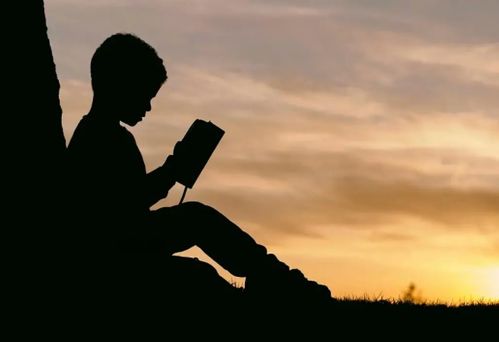 怎样挽回自己伤害的人，如何用正确的方式挽回误伤的人