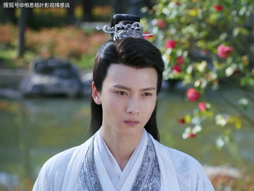 王爷如何挽回明月心,王爷演绎征服之道