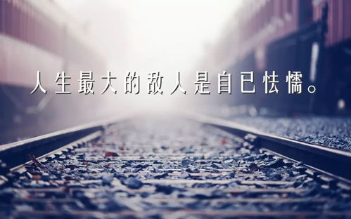 挽回信任的壁纸,挽回信任的励志壁纸