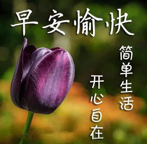 挽回老师花束文案图片,珍惜老师，感谢她的付出！
