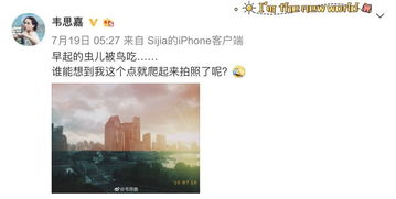 成功挽回经历在线阅读,成功挽回经历，信任与沟通的关键