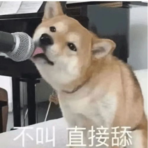 当上舔狗如何挽回,被甩后如何挽回，学会当上舔奴