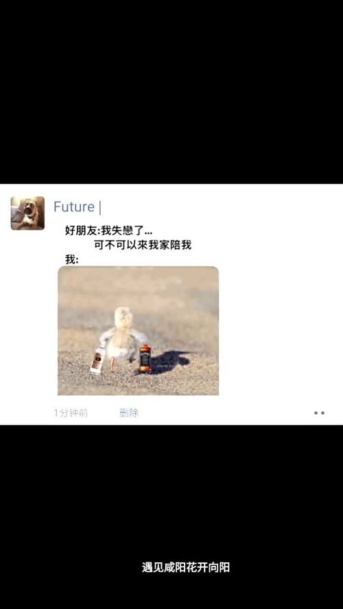 豆瓣我的挽回计划,挽回计划：重拾豆瓣爱好者的心