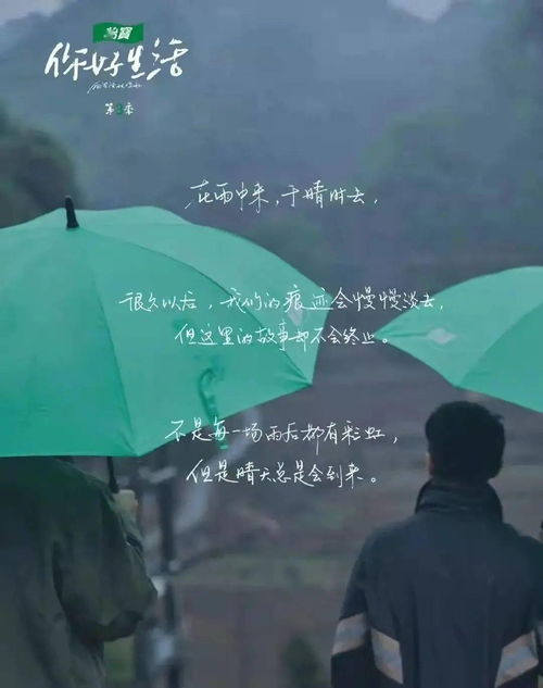 用生命挽回的爱,爱的力量重生生命