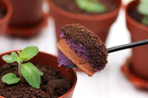 挽回老公蛋糕男生搞怪,搞笑挽回老公的奇葩蛋糕计划