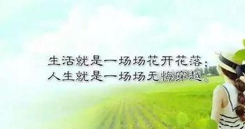 友谊挽回信800字,如何写一封成功挽回友谊的信)