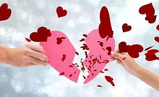 老婆铁心离婚挽回的话,重拾婚姻之路：我的挽回计划