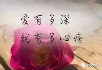 怎样挽回死心的双鱼，双鱼座如何在失落中再起波澜？