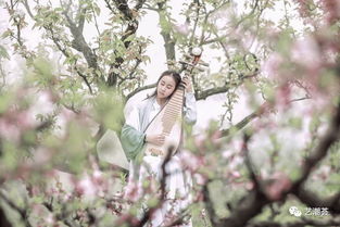 青丝挽回眉如柳,青丝眉如柳，幸福挽回路