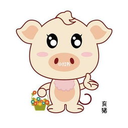 属相猪的挽回方式,属相猪如何挽回？教你一招！