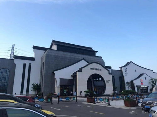 高价值快速挽回学院,快速重建失落学院