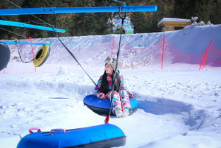 雪地女王要挽回吗,雪地女王是否会挽回？