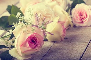 金牛分手后会挽回么,挽回金牛座恋人的方法