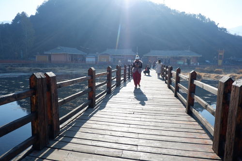 挽回真情冶方休,重建真爱的桥梁