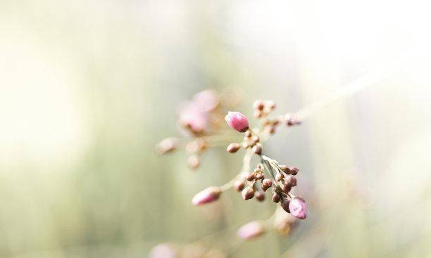 处女座主动挽回,处女座如何主动挽回？