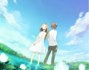 挽回不了的爱小说,挽回爱情，最后相爱。