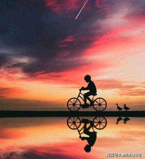 挽回不是强求的句子,挽回并非强求，善意拯救才是王道