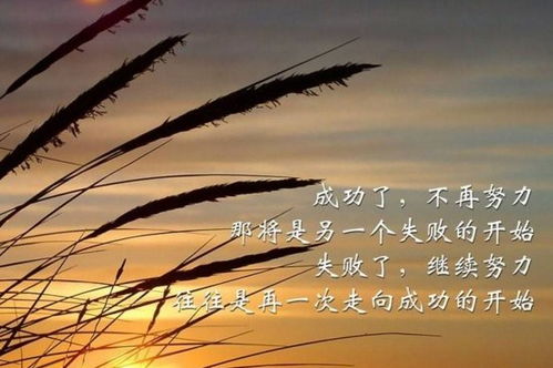 挽回怎么说早安,如何用一句话说出早安？