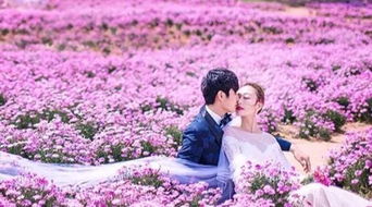 想挽回他的视频,如何挽回自己的前任