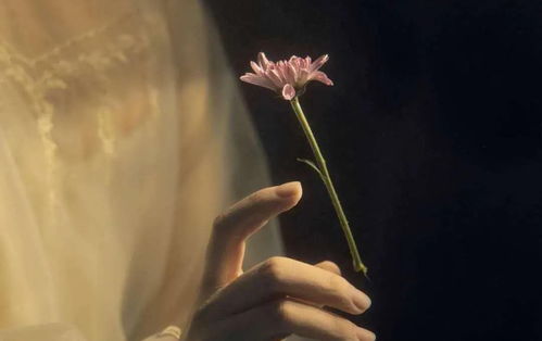 怎样挽回绝情前任,挽回前任的方法与技巧)