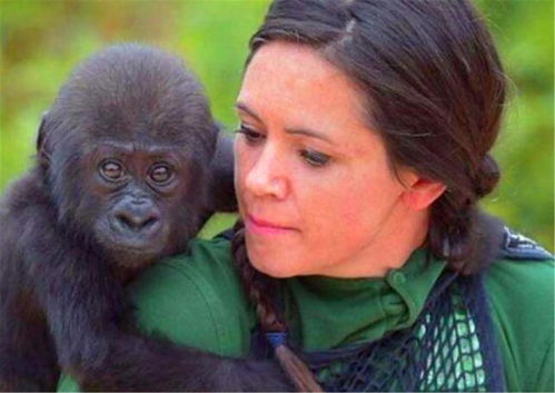 狮子女出轨怎么挽回,如何挽回出轨的狮子女