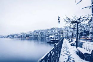 过年了想要挽回她,如何在新年挽回她？