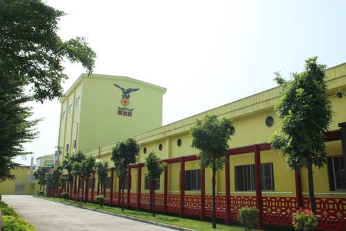 挽回自身建设怎么操作,重建公司形象的关键步骤