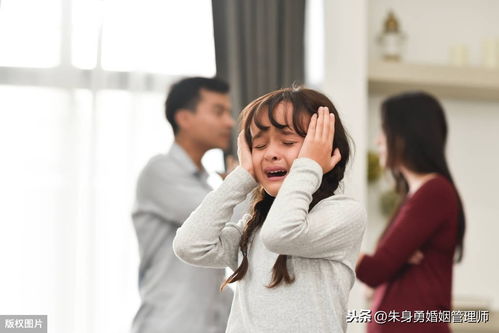 妈妈想挽回前女友,妈妈寻求复合前女友