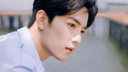 肖战怎样挽回口碑,肖战如何重塑形象