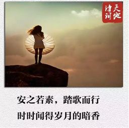 挽回不了的是时光,时光逆转，情感再续)