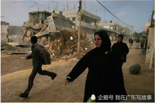 破坏树木怎么挽回,如何挽救被破坏的树木