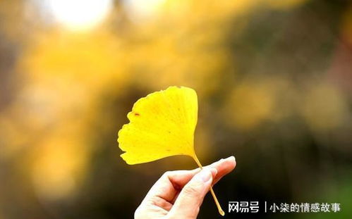 咋样才能挽回失去爱,失去爱的挽回技巧