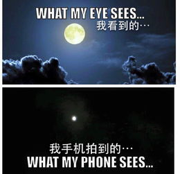 苹果挽回靠谱么,苹果挽回行动有戏？